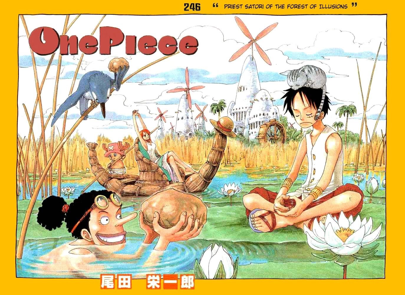 One Piece, Chapter 246 image 01